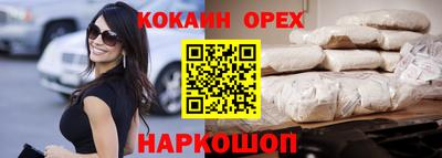 гидра Камышлов