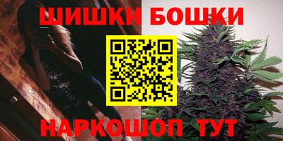 гидра Камышлов