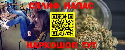 гидра Камышлов