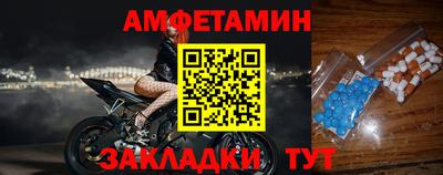 гидра Камышлов