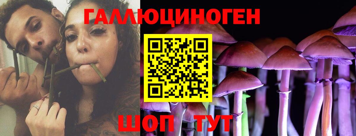 Псилоцибиновые грибы мухоморы  Вход с VPN  Фрязино 